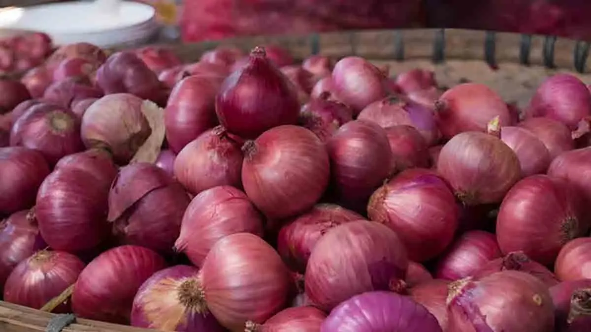 আমজনতার মাথায় হাত! ৫১ শতাংশেরও বেশি বাড়ল পেঁয়াজের পাইকারি দর