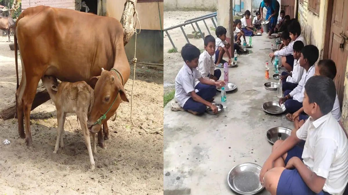 ** বারান্দায় খাবার, ক্লাসে গবাদি পশু! ময়নাগুড়ি স্কুলে অবকাঠামো সংকট, অভিভাবকেরা ক্ষোভে ফুঁসছেন