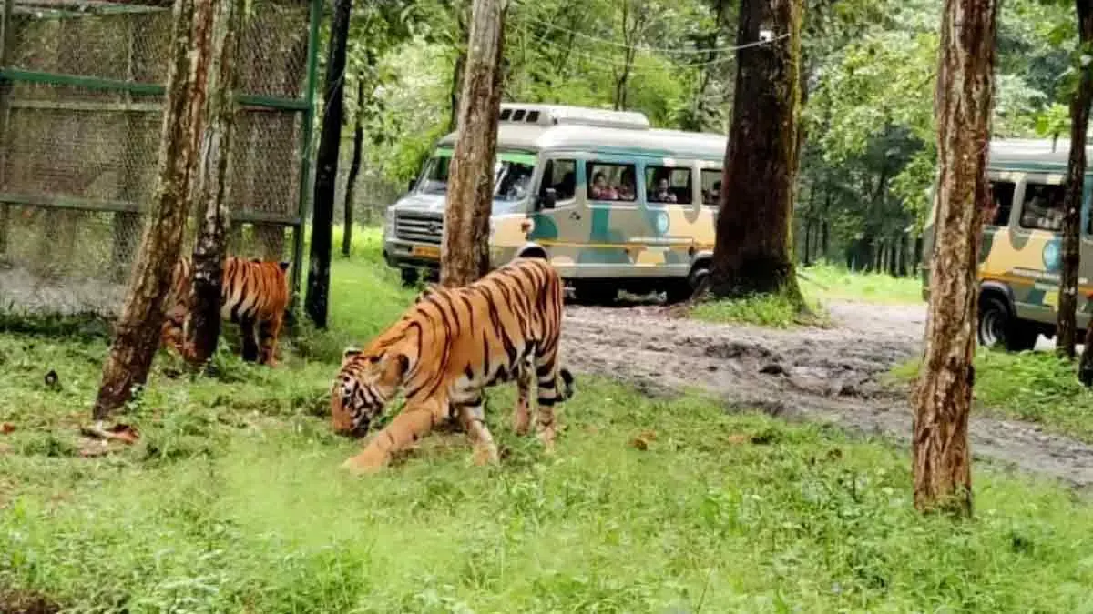 বেঙ্গল সাফারিতে প্রাণীর মৃত্যু, তদন্তের নির্দেশ