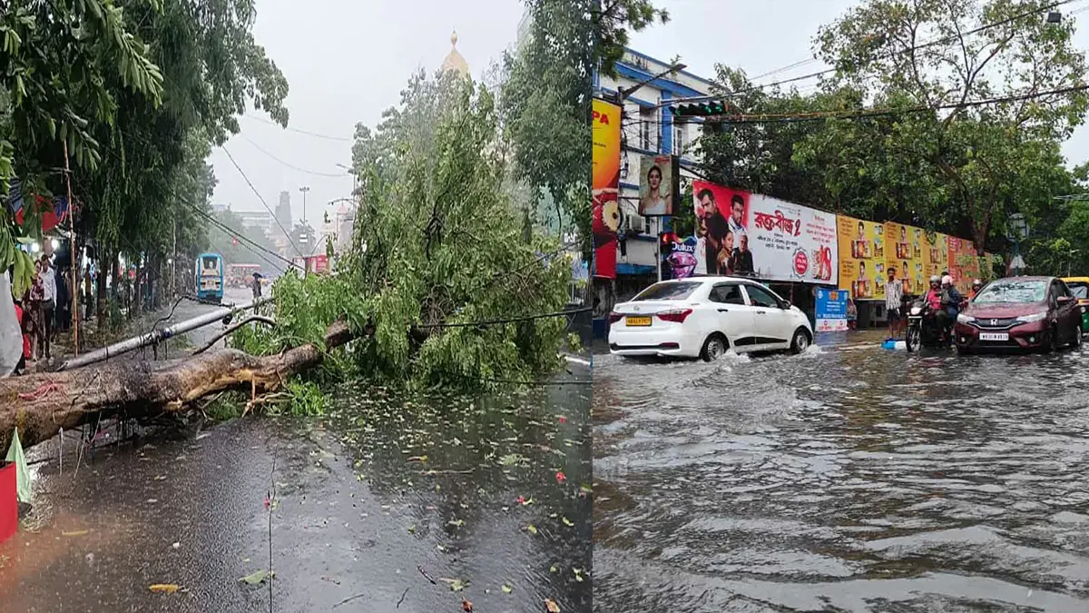 তুমুল ঝড়বৃষ্টি তিলোত্তমায়! ভাঙল গাছ! কলকাতা সহ ৭ জেলায় কমলা সতর্কতা